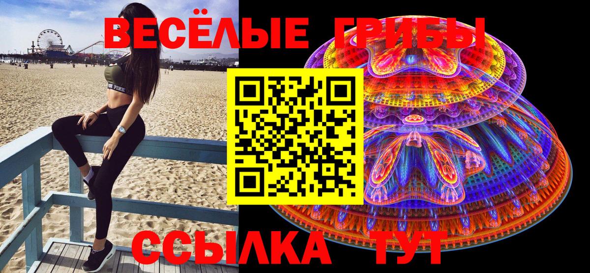 Каменск-Шахтинский  Псилоцибиновые грибы прущие грибы  Вход с VPN 